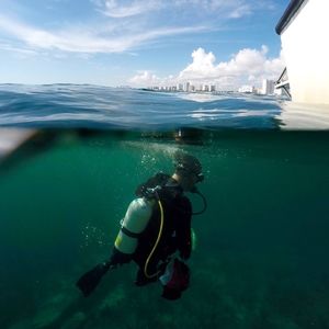 Meet your Posher, Michael